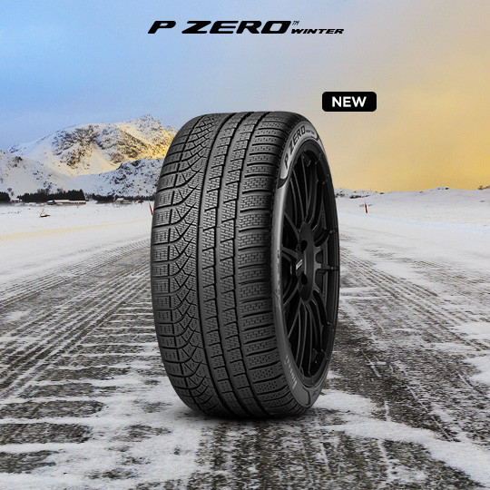 Pzero Winter Cat Sfondo En 4505513389578
